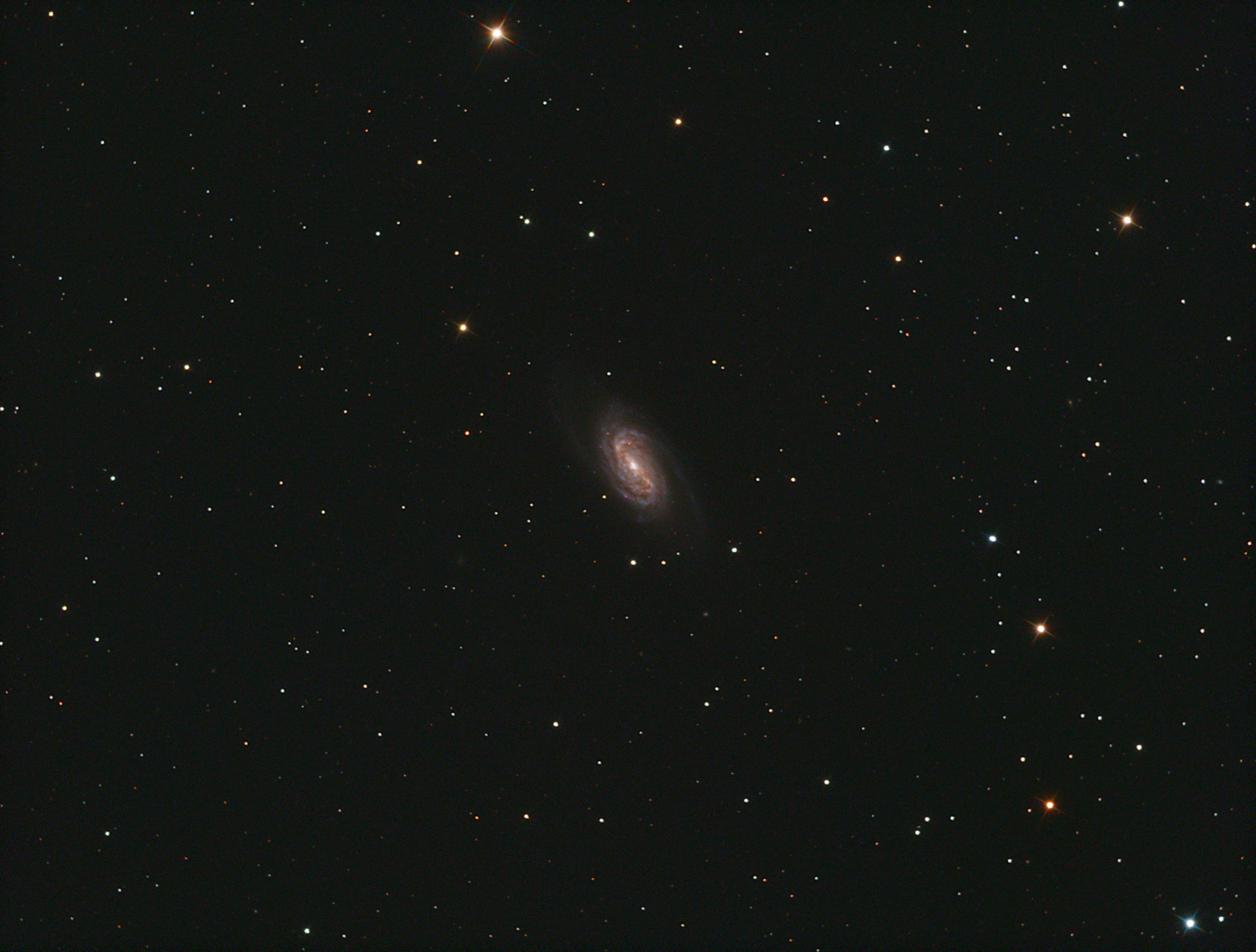 2019-01-12_NGC_2903-LRGB-image-lpc-cbg-cbg-csc-St_lvl_sat_shrp_noise_crop.jpeg