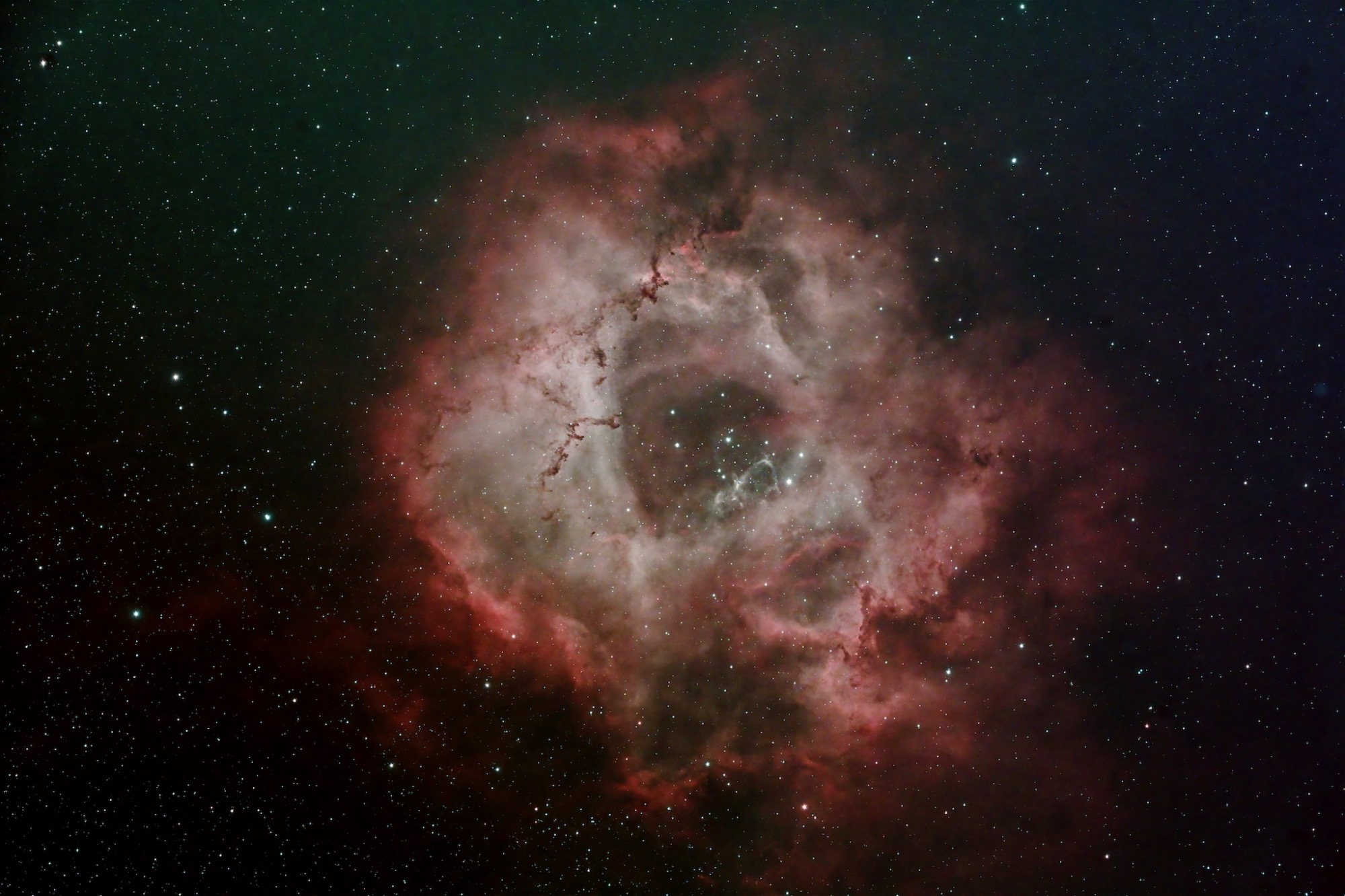 NGC2244RosetteNebulacopy.jpg