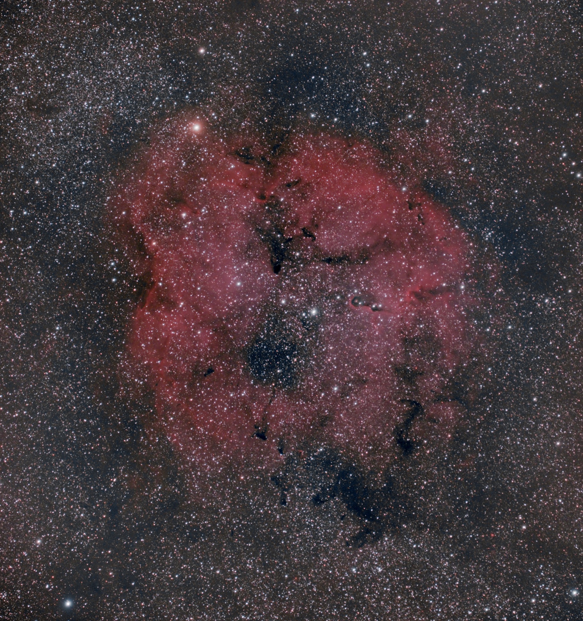 IC1396.final.jpg